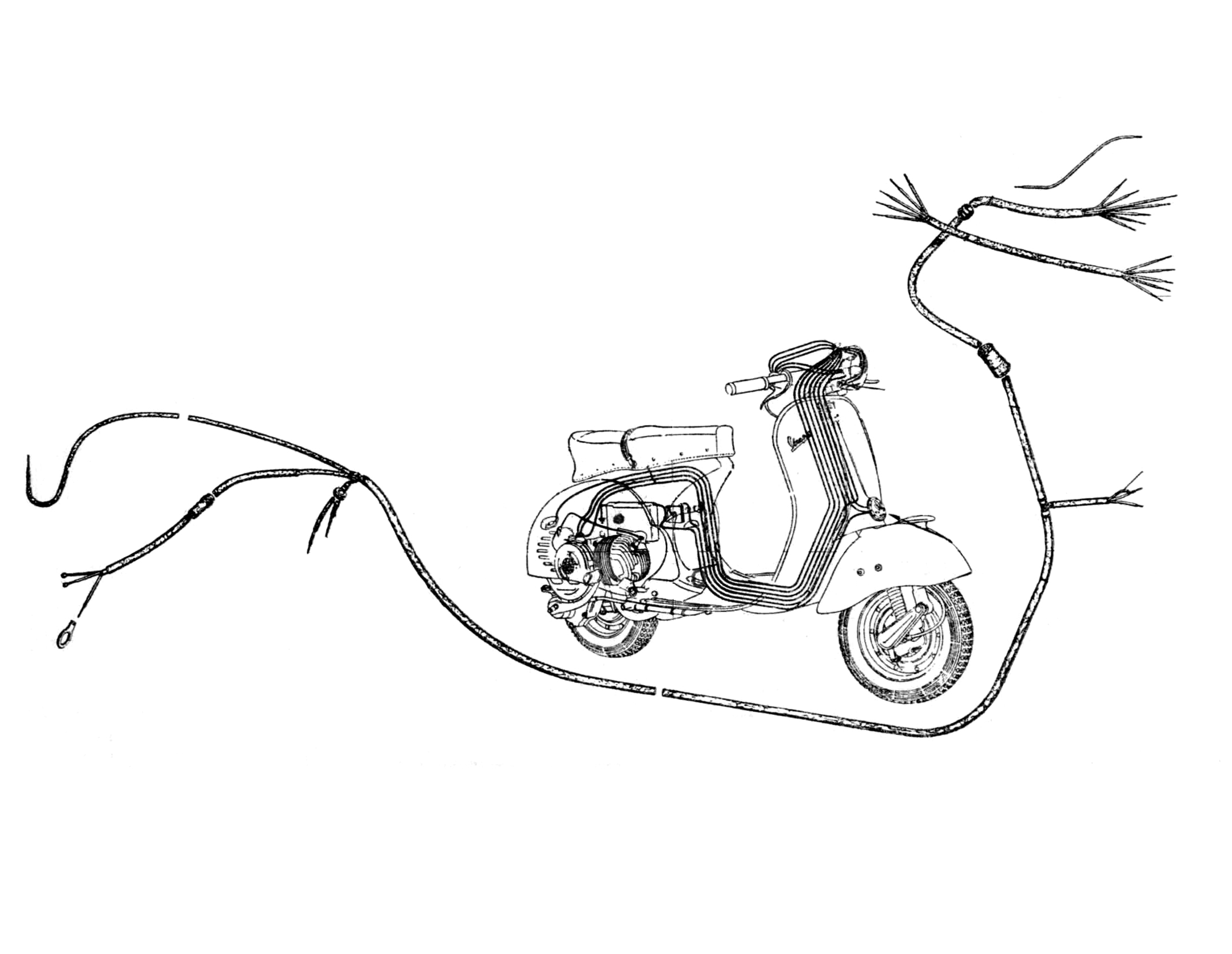 Impianto elettrico - Vespa 150 GS (VS1T)